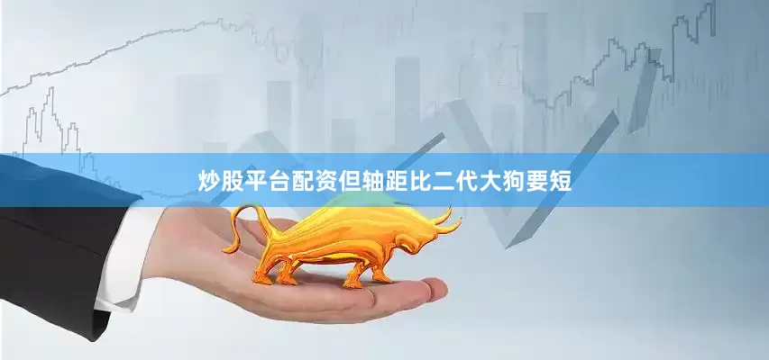 炒股平台配资但轴距比二代大狗要短