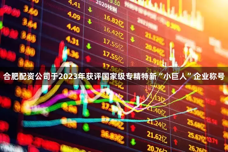 合肥配资公司于2023年获评国家级专精特新“小巨人”企业称号