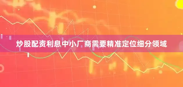 炒股配资利息中小厂商需要精准定位细分领域